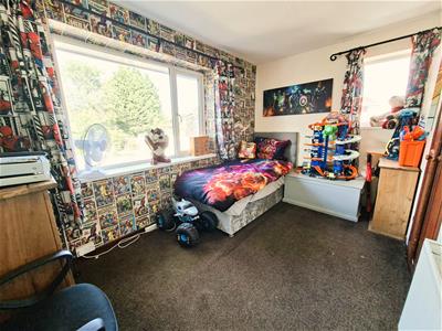 Picture 7